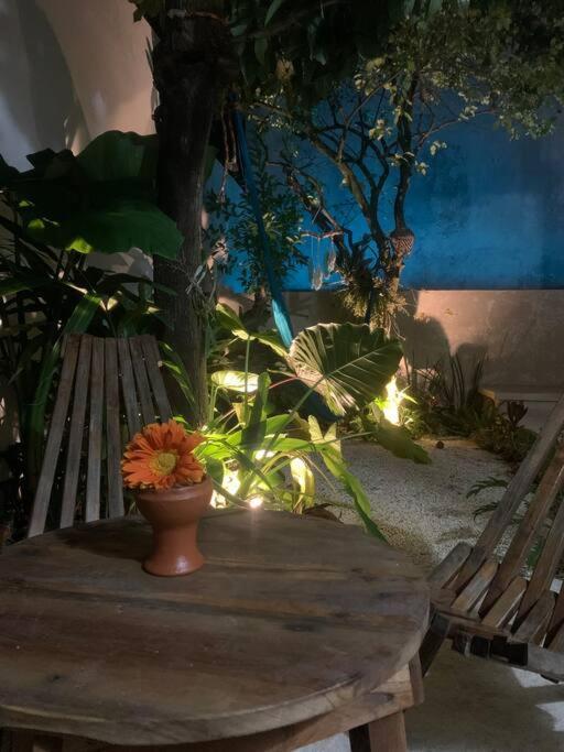 Private Full House With Pool And Cozy Patio Villa Valladolid  Ngoại thất bức ảnh