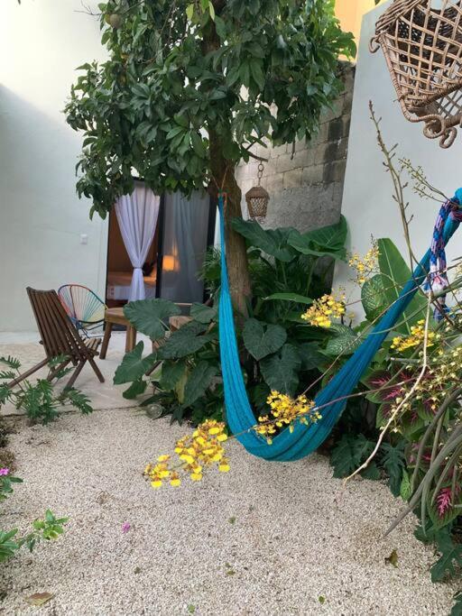 Private Full House With Pool And Cozy Patio Villa Valladolid  Ngoại thất bức ảnh